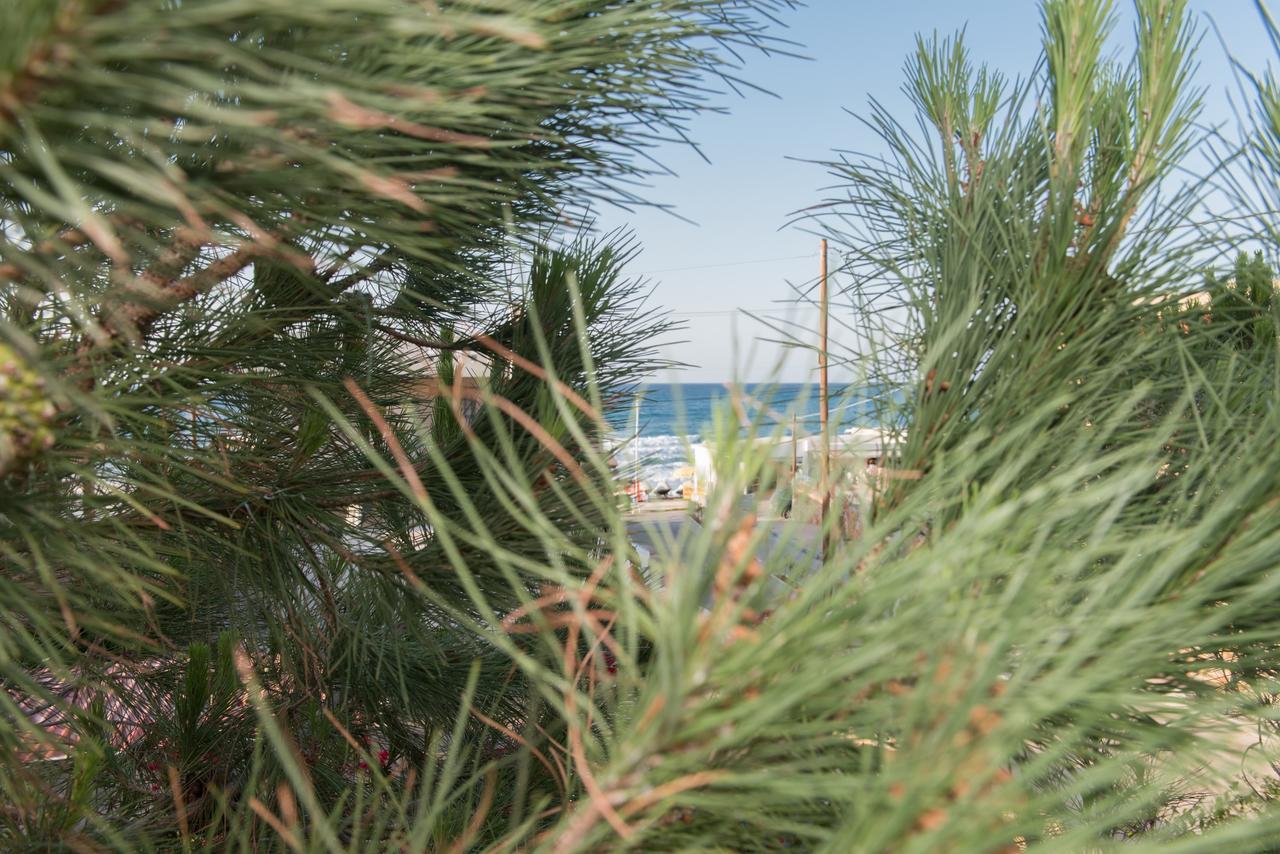 Stalis Lux Beach Apartment Dış mekan fotoğraf